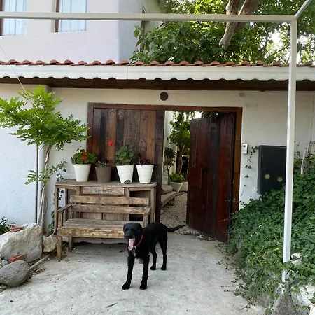 Vintage Urla Homestay *