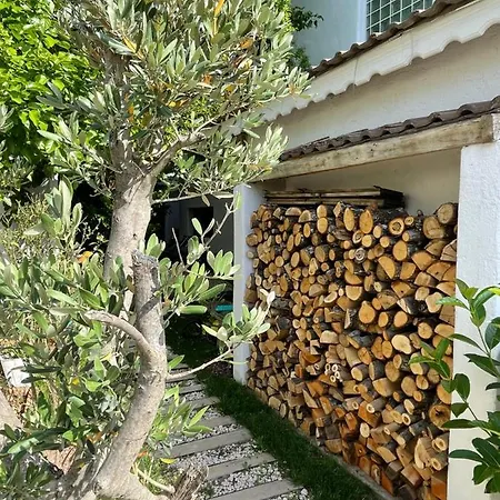 Homestay Vintage Urla Demircili (Urla)