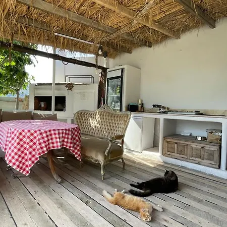 Homestay Vintage Urla Demircili (Urla)
